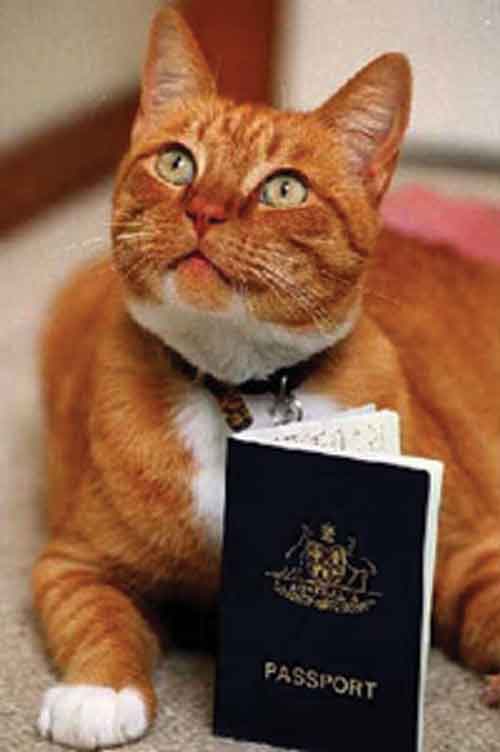 CAT PASSPORT